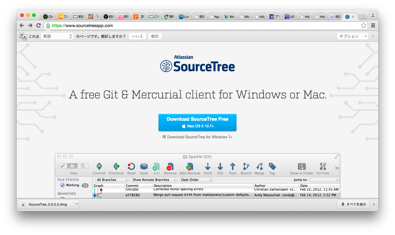 Git Clean Sourcetree